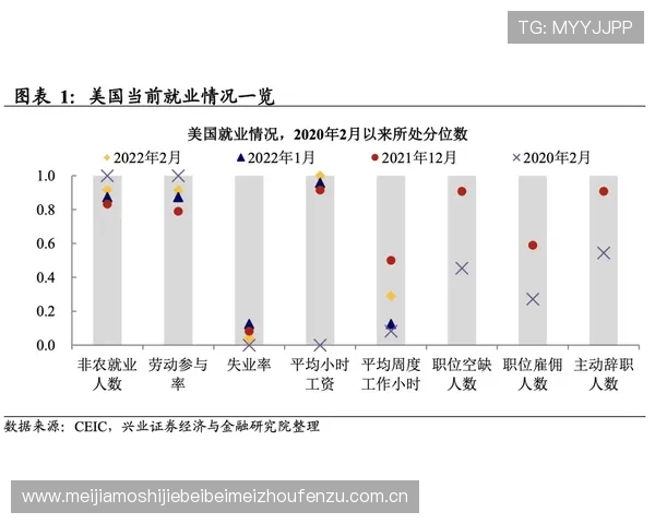 世界杯阿尔及利亚vs阿根廷比赛大小球走势数据分析与专家点评